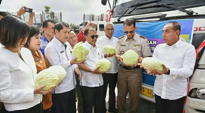 Gubernur Sumut Edy Rahmayadi Ekspor Sayuran Kubis Ke Malaysia