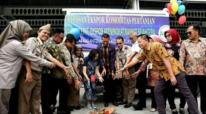 Sumut Pengekspor Sarang Burung Walet Terbesar Se-Indonesia