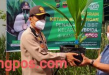 Kapolres Madina Tanam Pohon Kelapa Hybrida Dan Tabur Ikan Di Kampung Tangguh