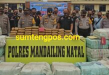 KAPOLRES MADINA GELAR PRESS RELEASE UNGKAP KASUS NARKOBA TERBESAR DI MADINA