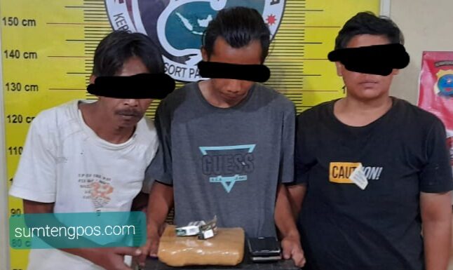 Pengungkapan Tindak Pidana Penyalahgunaan Narkotika di Padangsidimpuan Tenggara