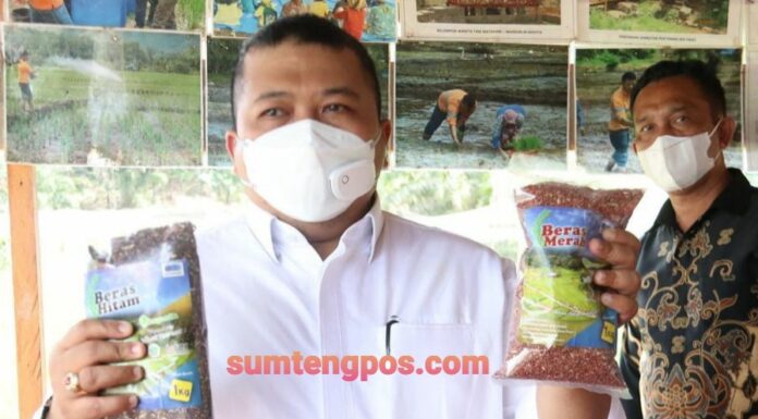 Bupati Tapsel Kagum Pada Petani Binaan PT AR