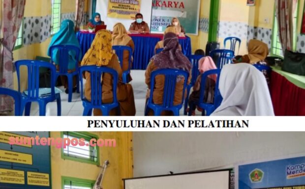 PROPOSAL PKM PELATIHAN DETEKSI DINI TUMBUH KEMBANG ANAK BALITA BAGI KADER POSYANDU DI WILAYAH KERJA PUSKESMAS WEK I KOTA PADANGSIDIMPUAN