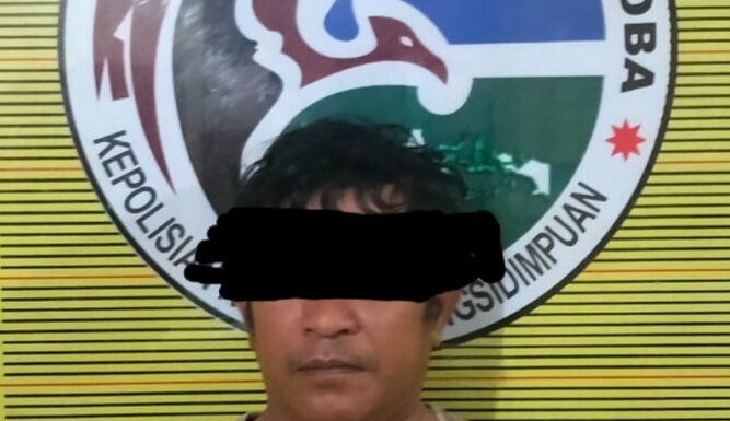 Polres Padangsidimpuan Amankan MS Bersama 40 Gram Bungkus Ganja Di Kampung Toba