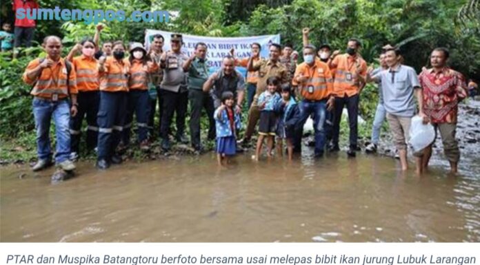 15.000 Bibit Ikan Endemik Lokal Dilepaskan oleh Agincourt Resources dan Masyarakat di Lubuk Larangan Sungai Batuhoring