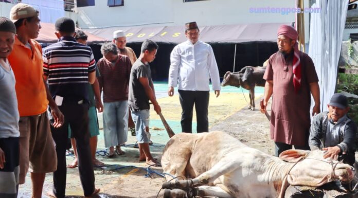 Kapolres Padangsidimpuan Laksanakan Penyembelihan Hewan Qurban Hari Raya Idul Adha 1443 H