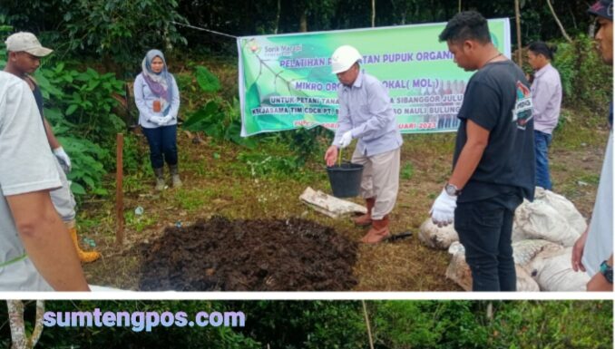 SMGP Beri Pelatihan Pembuatan Pupuk Organik Bagi Petani di Sibanggor Julu
