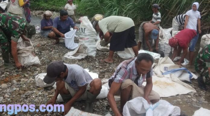 Babinsa Koramil 12/Siabu Bersama Masyarakat Laksanakan Gotong Royong Perbaiki Tanggul Yang Jebol