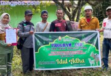 Sambut Idul Adha, SMGP Salurkan Bantuan Hewan Kurban 6 Ekor Sapi