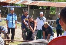 Masjid Taqwa Siborong Borong Toleransi Sholat Idul Adha Berjalan Baik