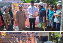 H Saipullah dan Ikanas salurkan belasan ekor hewan kurban di sejumlah kabupaten di Sumut