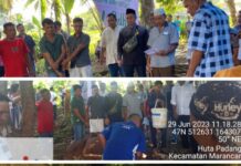 PT Sinar Avanoska Emas (SAE Group), Batang Toru HEPP Project 510 MW Membagikan 4 Sapi Qurban di Tahun 2023