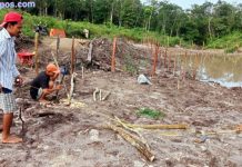 PEKERJAAN FISIK BIDANG KETAHANAN PANGAN DESA BUKIT TEMPURUNG RT 05 DUSUN SUKA DAMAI TAHAP 1 SUMBER DANA-DESA T.A.2023 UNTUK KESEJAHTERAAN BAGI MASYARAKAT DESA