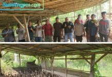 KLP Mitra Jaya Dapat Bantuan Ternak Bebek 400 Ekor