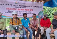 SMGP-Bonca Jaya Tanam 5.600 Bibit Kopi: Perusahaan Tumbuh Bersama Masyarakat