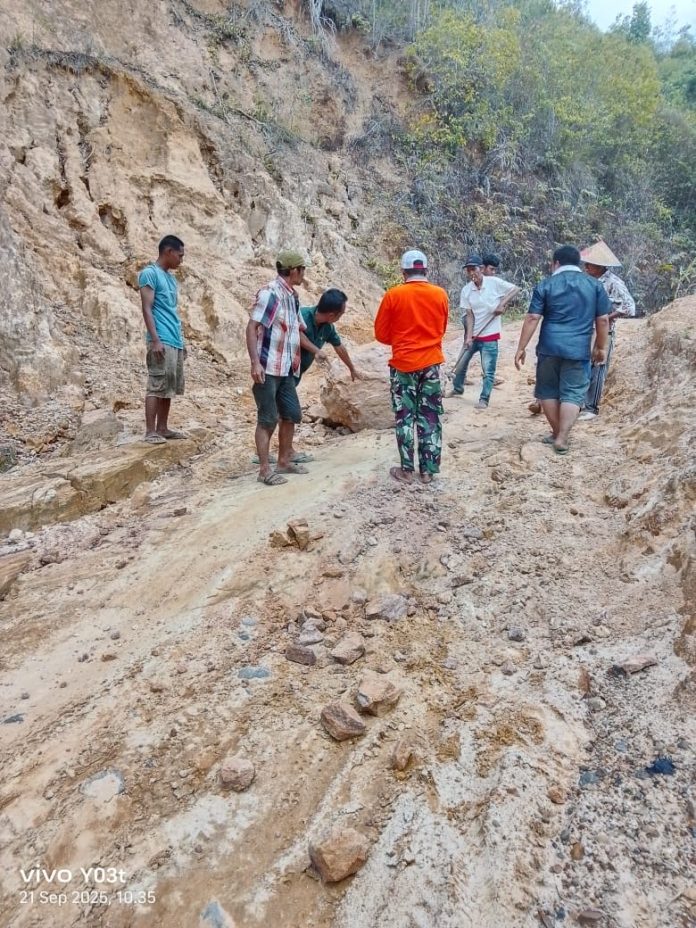 971eb591-70bf-426c-9b64-53c4d62a5bab