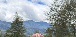 Anis Hagabal : Himbau Semua Pihak “ Jaga Keamanan dan Lindungi Fasilitas Umum di Kabupaten Puncak