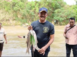 Bupati Mandailing Natal (Madina) H. Saipullah Nasution “ Budaya Lubuk Larangan Harus Dilestarikan