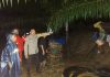 Curah Hujan Tinggi, 2 Warga Batangtoru Dilaporkan Hilang