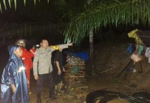 Curah Hujan Tinggi, 2 Warga Batangtoru Dilaporkan Hilang