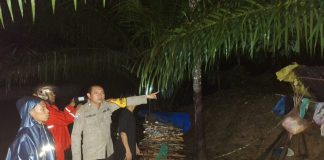 Curah Hujan Tinggi, 2 Warga Batangtoru Dilaporkan Hilang