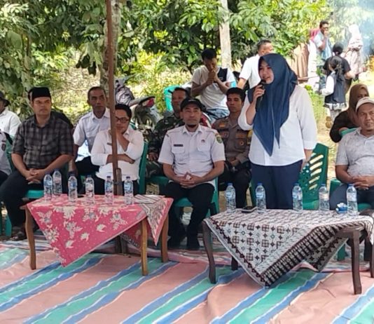 Lubuk Larangan Wahana Menjaga Ekosistem dan Pelestarian Ikan