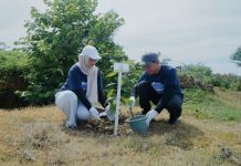 Dukung Energi Berkelanjutan, Pertamina EP Rantau Tanam Ratusan Pohon di Wilayah Operasional