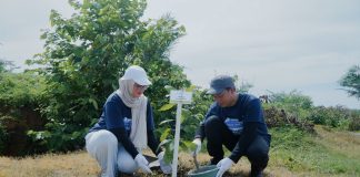 Dukung Energi Berkelanjutan, Pertamina EP Rantau Tanam Ratusan Pohon di Wilayah Operasional